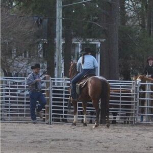 Meet your Posher, Lillie